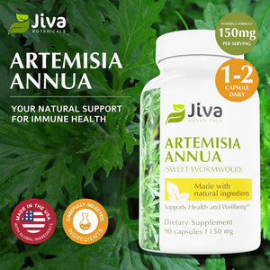 JIVA BOTANICALS - Jiva Botanicals Artemisia Annua Sweet Wormwood 150Mg. 90 Capsulas - The Red Vitamin MX - Suplementos Alimenticios - {{ shop.shopifyCountryName }}