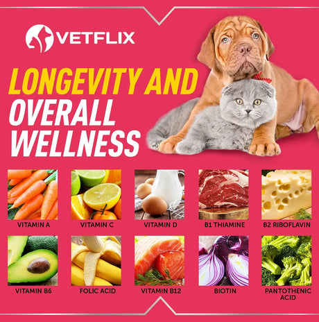 VETFLIX - Vetflix 10-in-1 Essential Multivitamin Blend 60Ml. - The Red Vitamin MX - Multivitamínicos Para Perros - {{ shop.shopifyCountryName }}
