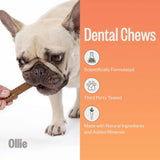 OLLIE - Ollie Dental Chews for Extra Small Dogs 5-15 lbs 42 Piezas - The Red Vitamin MX - Cuidado Dental Para Perros - {{ shop.shopifyCountryName }}