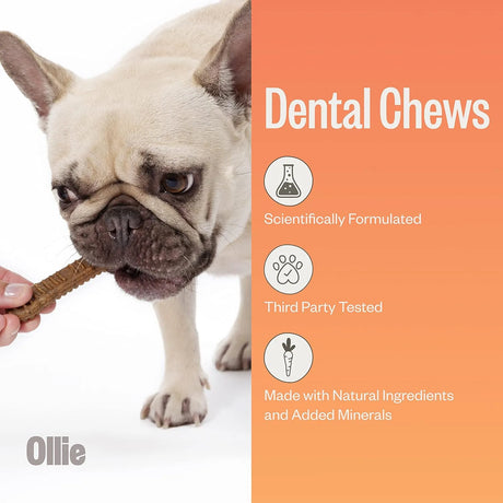 OLLIE - Ollie Dental Chews for Extra Small Dogs 5-15 lbs 42 Piezas - The Red Vitamin MX - Cuidado Dental Para Perros - {{ shop.shopifyCountryName }}