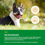 NATURVET - NaturVet Advanced Probiotics & Enzymes 240 Masticables - The Red Vitamin MX - Probióticos Para Perros - {{ shop.shopifyCountryName }}