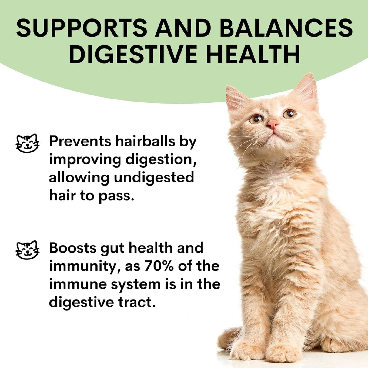 Petz Park Probiotic for Cats & Kittens 60 Servicios 60Gr.