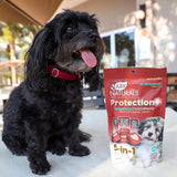 ARK NATURALS - ARK NATURALS Protection+ Brushless Toothpaste Dog Dental Chews for Mini Breeds 113Gr 2 Pack - The Red Vitamin MX - Cuidado Dental Para Perros - {{ shop.shopifyCountryName }}