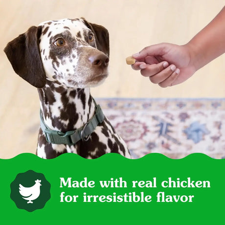 GREENIES - Greenies Supplements Calming Chews for Dogs Chicken Flavor 40 Masticables - The Red Vitamin MX - Relajantes Para Perros - {{ shop.shopifyCountryName }}