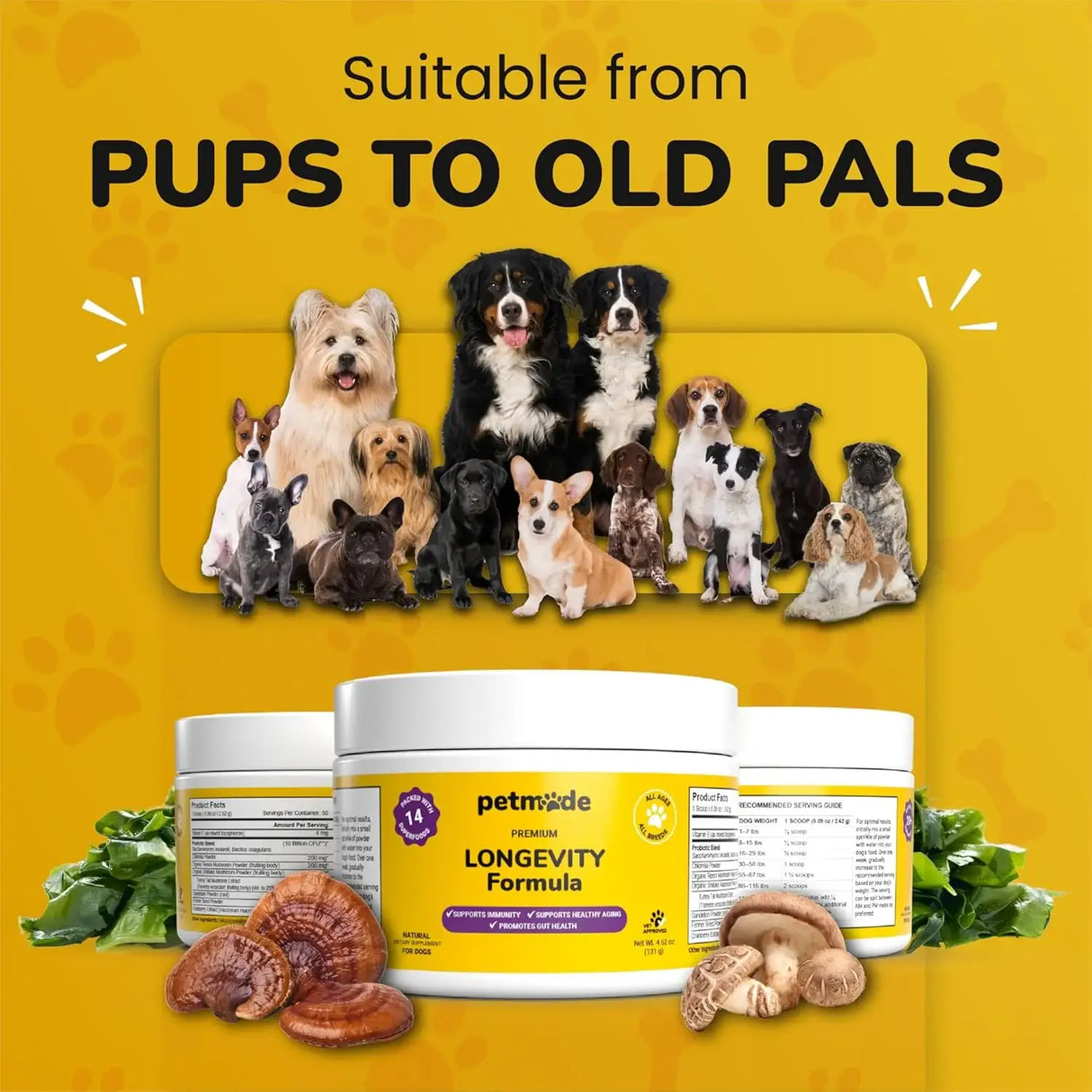 PETMADE - PETMADE Longevity Formula Turkey Tail Mushroom Antioxidant Dog 150Gr. - The Red Vitamin MX - Suplementos Herbales Para Perros - {{ shop.shopifyCountryName }}