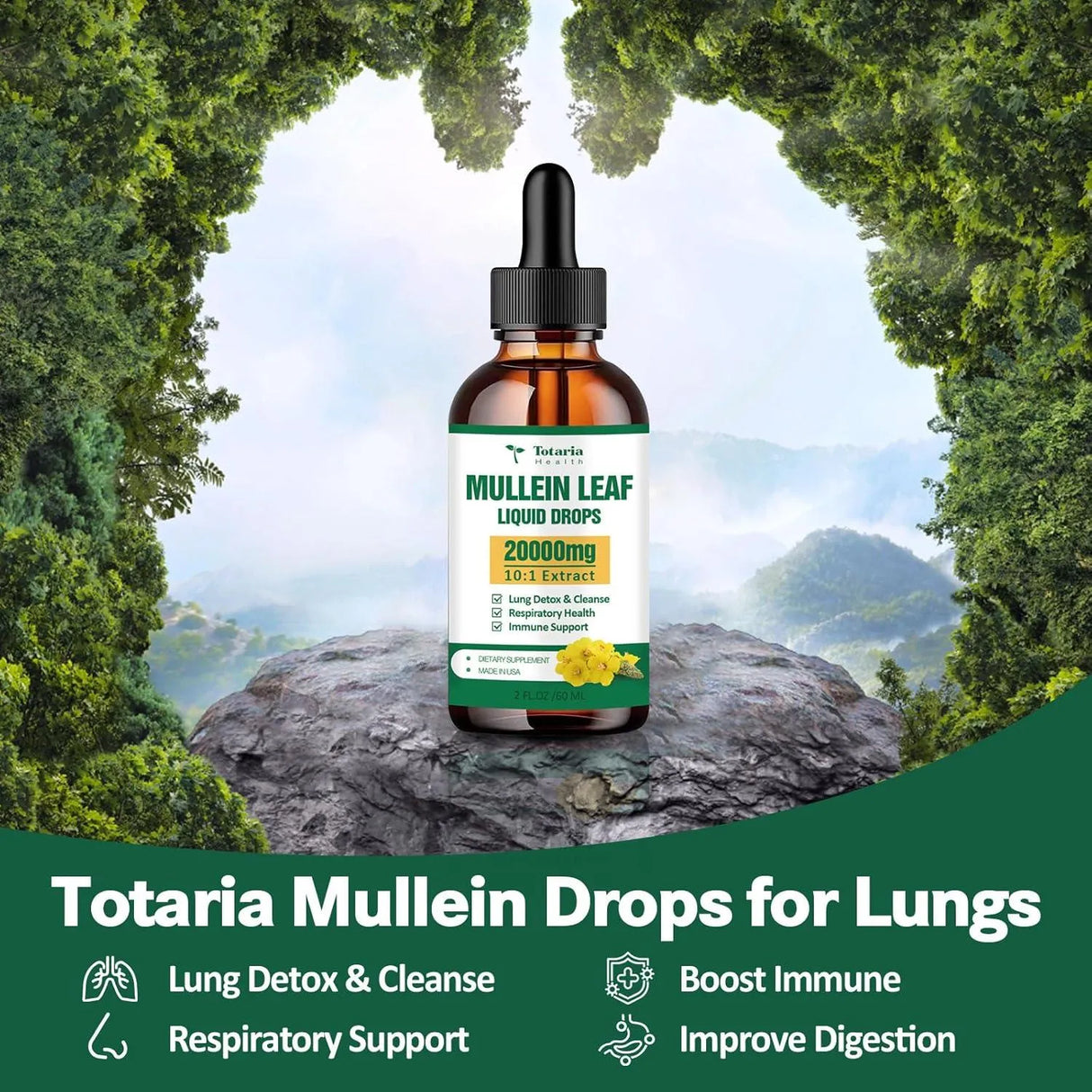 TOTARIA HEALTH - Totaria Health Mullein Drops for Lungs 2 Fl.Oz. - The Red Vitamin MX - Suplementos Alimenticios - {{ shop.shopifyCountryName }}