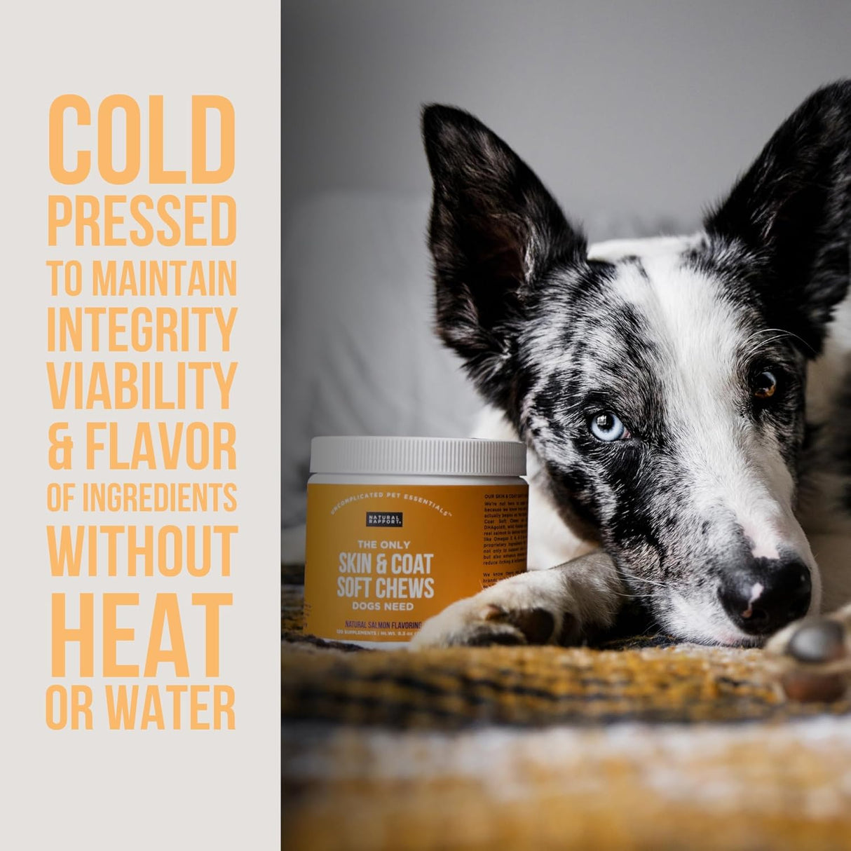 Natural Rapport Dog Skin and Coat 120 Masticables