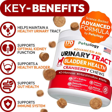 PETSOLOGY - Petsology Dog UTI Treatment Cranberry Chews 170 Masticables - The Red Vitamin MX - Salud De Tracto Urinario Para Perros - {{ shop.shopifyCountryName }}