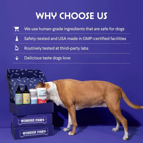 WONDER PAWS - WONDER PAWS Grass Hero Grass Burn Spot Chews 60 Masticables - The Red Vitamin MX - Salud De Tracto Urinario Para Perros - {{ shop.shopifyCountryName }}