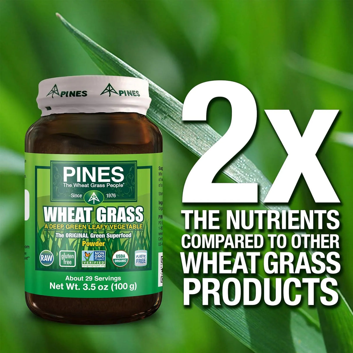 PINES - Pines International Wheat Grass Powder 29 Servicios 100Gr. - The Red Vitamin MX - Suplementos Alimenticios - {{ shop.shopifyCountryName }}