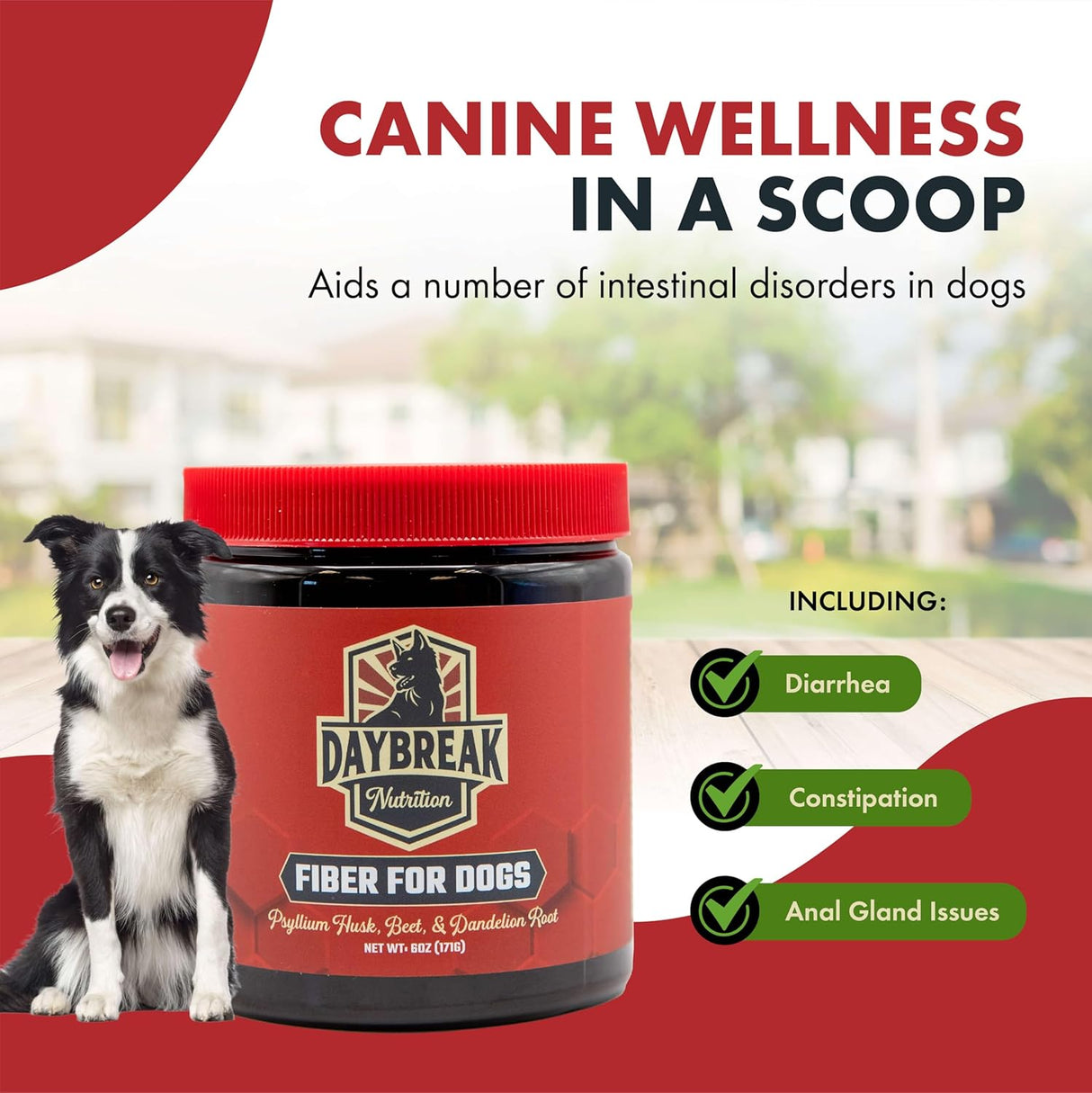 Daybreak Nutrition Fiber for Dogs Psyllium Husk 171Gr.
