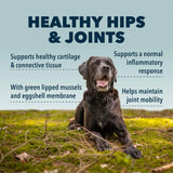 FOUR LEAF ROVER - FOUR LEAF ROVER Hip & Joint Mobility & Joint Support with Glucosamine and Chondroitin for Dogs 67.5Gr. - The Red Vitamin MX - Cuidado De Cadera Y Articulaciones Para Perros - {{ shop.shopifyCountryName }}
