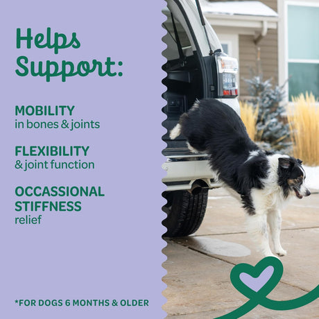 WHOLESOME PRIDE - Wholesome Pride Hip & Joint Supplement for Dogs 90 Masticables - The Red Vitamin MX - Cuidado De Cadera Y Articulaciones Para Perros - {{ shop.shopifyCountryName }}