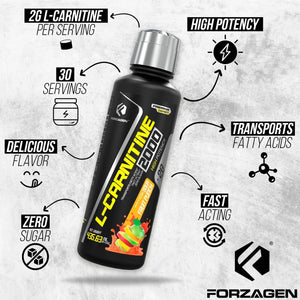 FORZAGEN - Forzagen L- Carnitine 2000 Liquid Sour Fruit Punch 30 Servicios 435Ml. - The Red Vitamin MX - Suplementos Alimenticios - {{ shop.shopifyCountryName }}