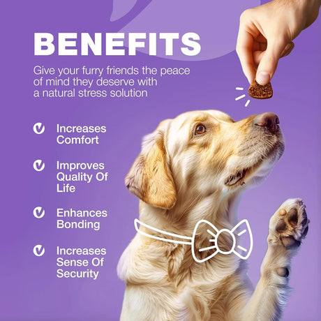CHEWIA - CHEWIA 15 in 1 Dog Multivitamin Chews 180 Masticables - The Red Vitamin MX - Multivitamínicos Para Perros - {{ shop.shopifyCountryName }}