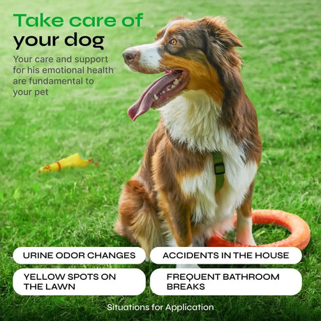 VETRICA - Vetrica Dog Urine Neutralizer for Lawn 130 Masticables - The Red Vitamin MX - Salud De Tracto Urinario Para Perros - {{ shop.shopifyCountryName }}