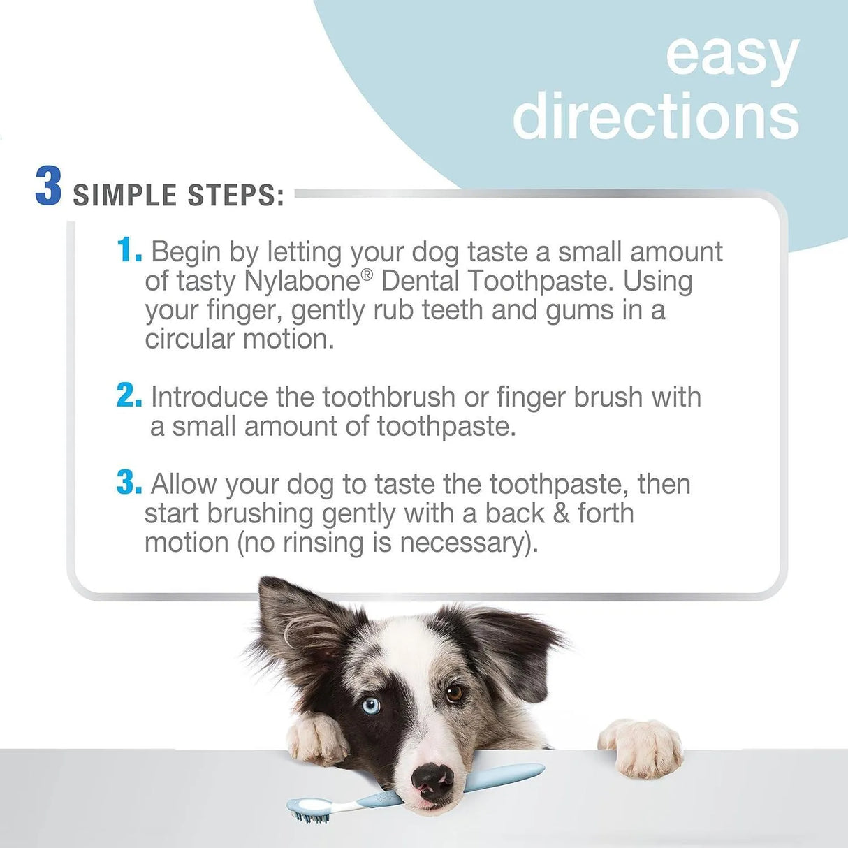 NYLABONE - Nylabone Advanced Oral Care Tartar Control Dog Toothpaste Original 2.5 Oz. - The Red Vitamin MX - Cuidado Dental Para Perros - {{ shop.shopifyCountryName }}