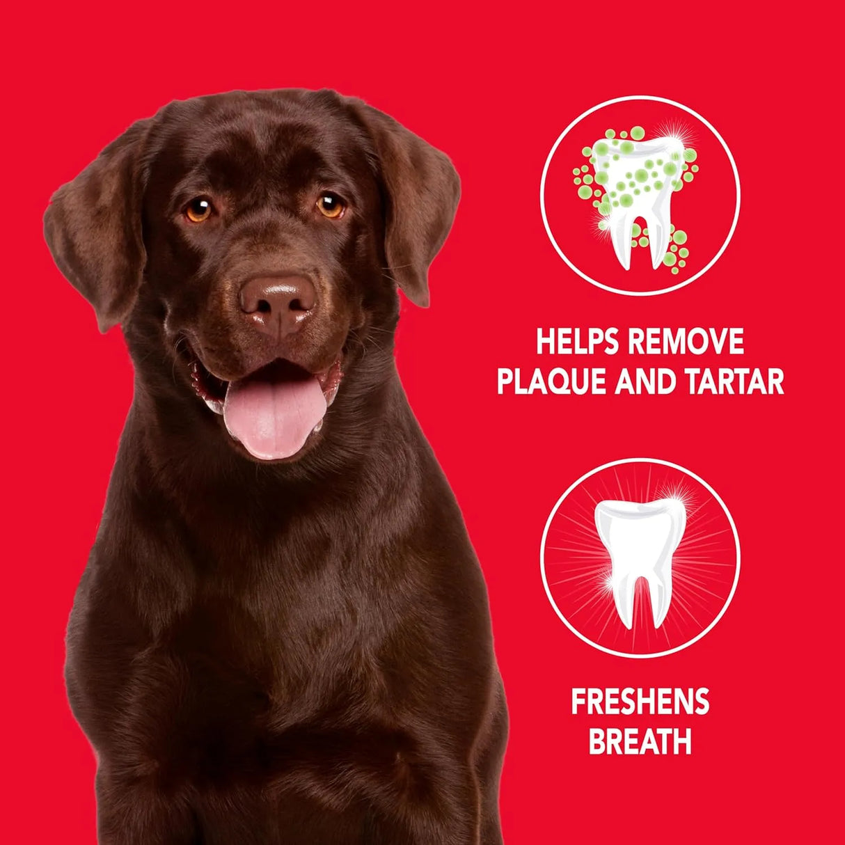 PETRODEX - Petrodex Toothpaste for Dogs and Puppies 6.2 Oz. - The Red Vitamin MX - Cuidado Dental Para Perros - {{ shop.shopifyCountryName }}