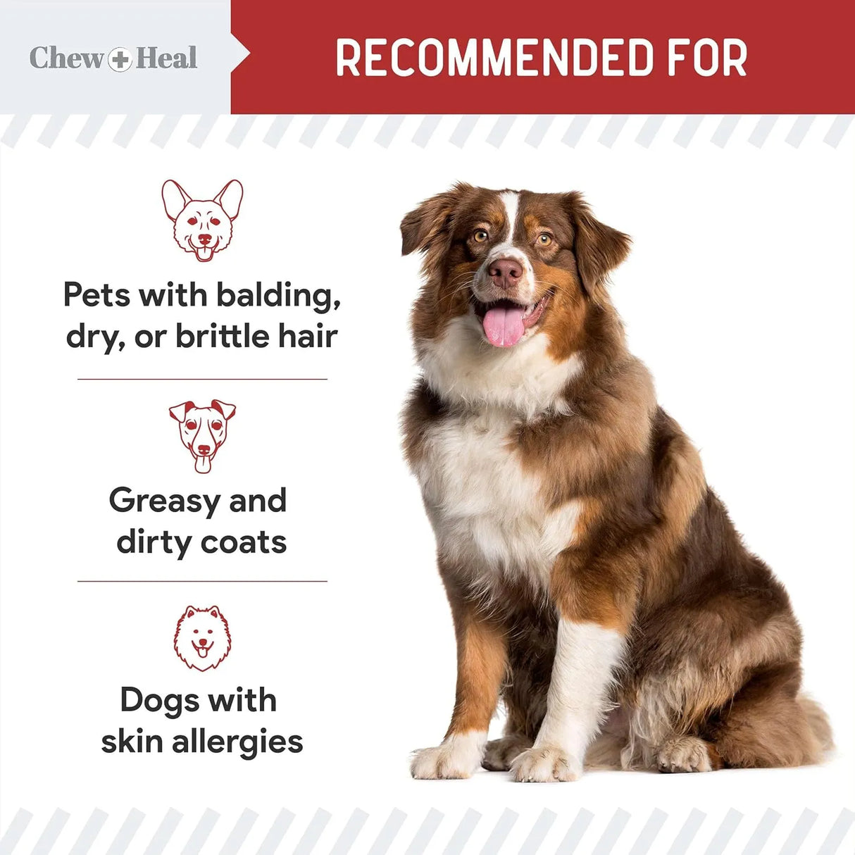 CHEW + HEAL - Chew + Heal Labs Omega Treats for Skin and Coat Bacon Flavor 180 Masticables 2 Pack - The Red Vitamin MX - Aceite De Pescado Para Perros - {{ shop.shopifyCountryName }}