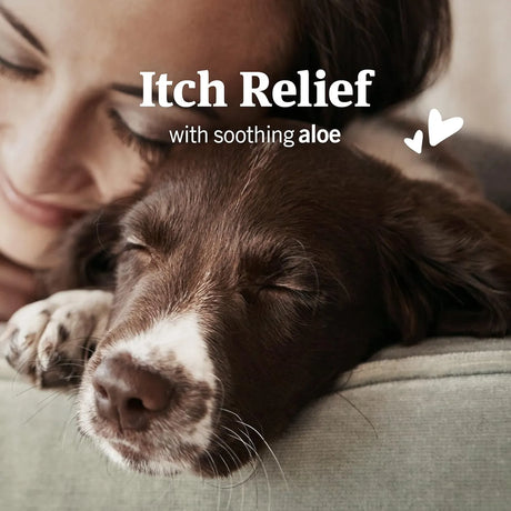 PETARMOR - PetArmor Ear Mite Treatment for Dogs 3 Fl.Oz. - The Red Vitamin MX - Cuidado Del Oído De Perros - {{ shop.shopifyCountryName }}