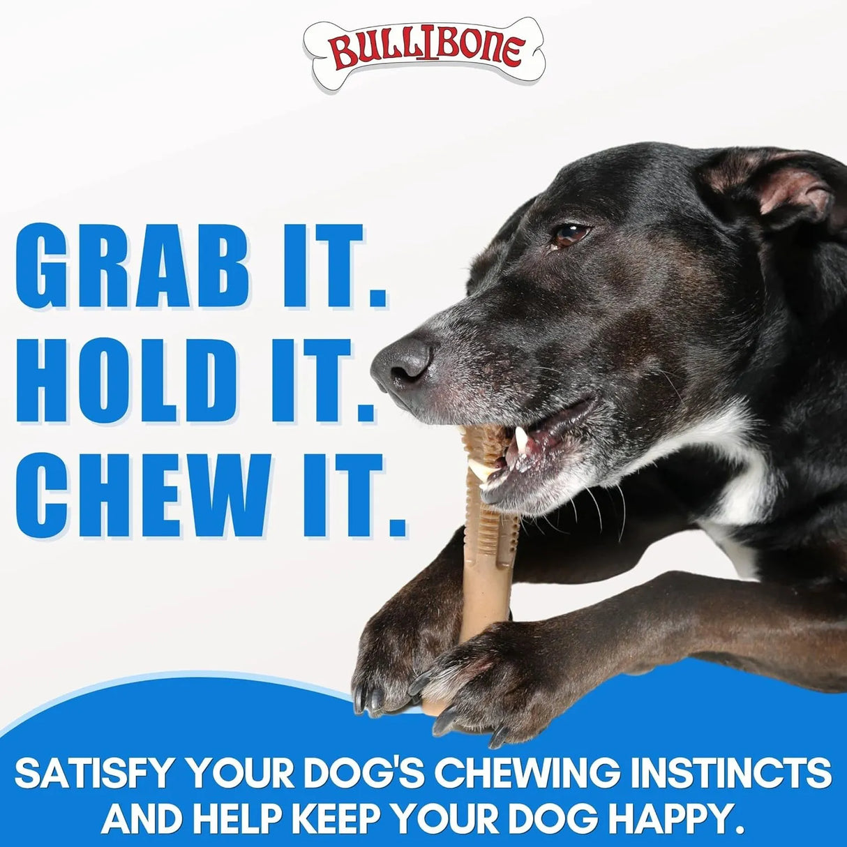 BULIBONE - Bullibone SuperBrush: Dog Teeth Cleaning Brushing Toothbrush Stick Large Apple Cinnamon 1 Pieza - The Red Vitamin MX - Cuidado Dental Para Perros - {{ shop.shopifyCountryName }}