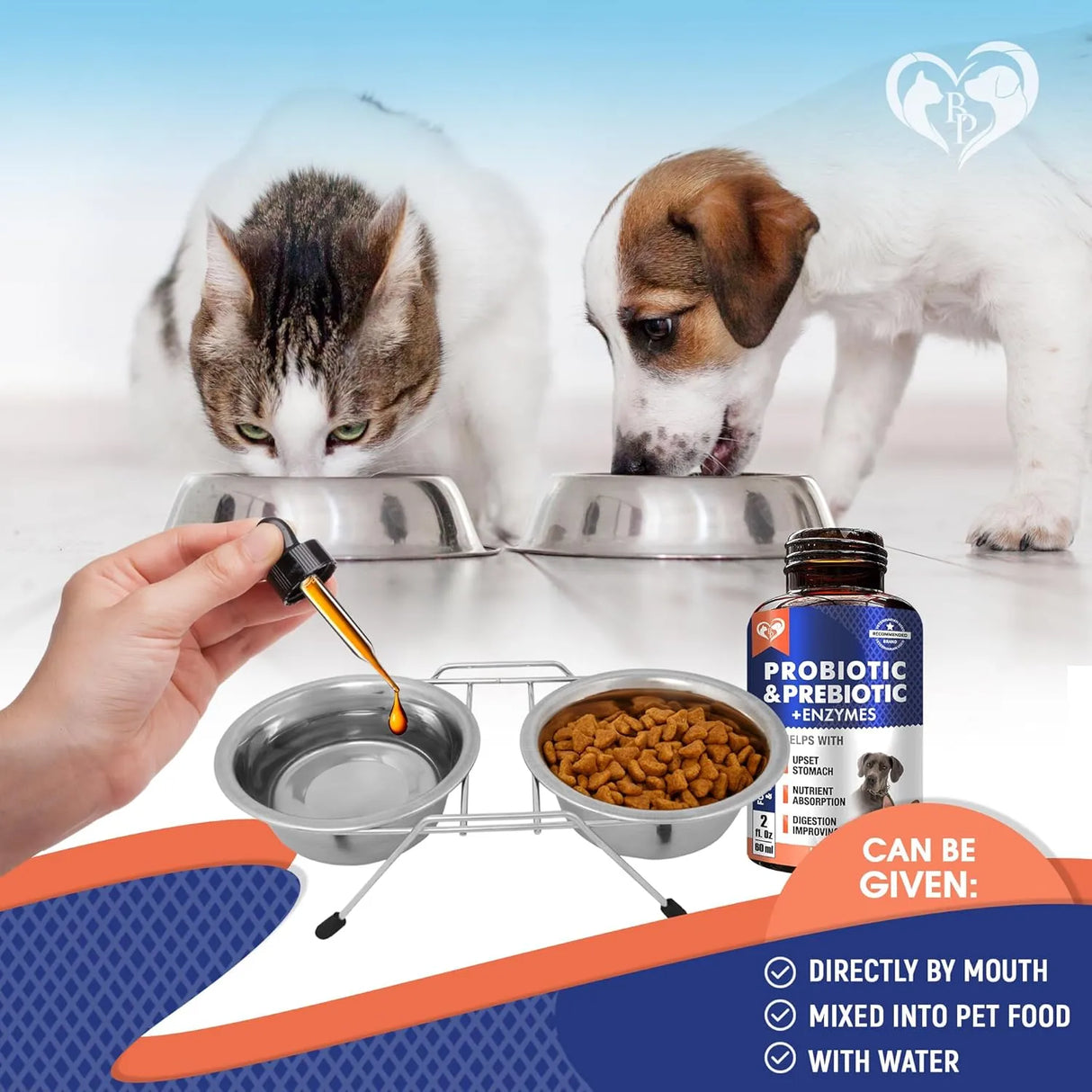 BELOVED PETS - Beloved Pets Probiotics & Prebiotics with Enzymes for Dogs and Cats 2 Fl.Oz. - The Red Vitamin MX - Probióticos Para Perros - {{ shop.shopifyCountryName }}