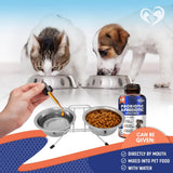 BELOVED PETS - Beloved Pets Probiotics & Prebiotics with Enzymes for Dogs and Cats 2 Fl.Oz. - The Red Vitamin MX - Probióticos Para Perros - {{ shop.shopifyCountryName }}