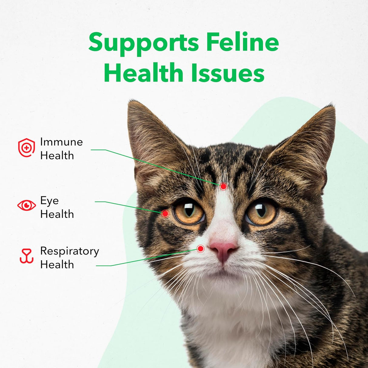 Vetoquinol Viralys Daily L-Lysine Gel for Cats and Kittens 142Gr.