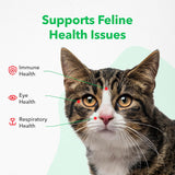 Vetoquinol Viralys Daily L-Lysine Gel for Cats and Kittens 142Gr.