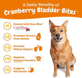 ZESTY PAWS - Zesty Paws Cranberry Supplement for Dogs Urinary Tract Support BACON 90 Masticables - The Red Vitamin MX - Salud De Tracto Urinario Para Perros - {{ shop.shopifyCountryName }}