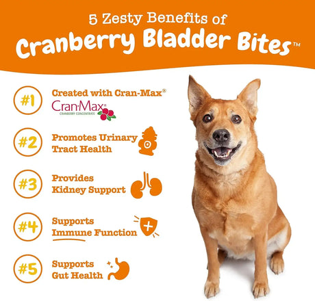 ZESTY PAWS - Zesty Paws Cranberry Supplement for Dogs Urinary Tract Support BACON 90 Masticables - The Red Vitamin MX - Salud De Tracto Urinario Para Perros - {{ shop.shopifyCountryName }}