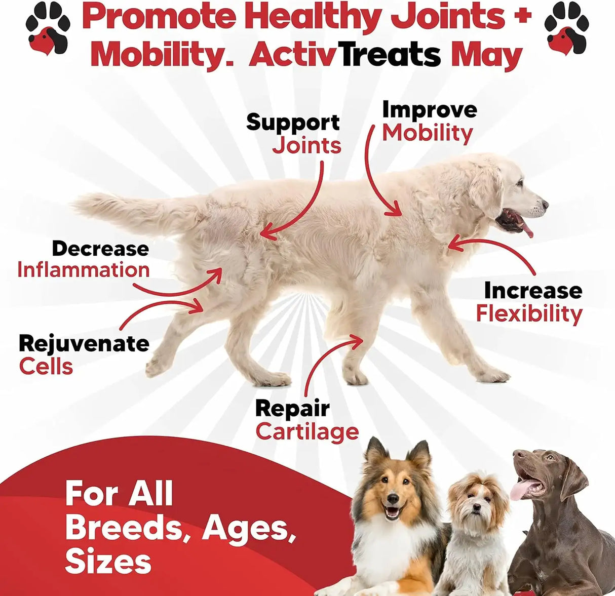 PLANOPAWS - Planopaws ActivTreats Hip and Joint Supplement Peanut Butter 120 Masticables - The Red Vitamin MX - Cuidado De Cadera Y Articulaciones Para Perros - {{ shop.shopifyCountryName }}