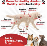 PLANOPAWS - Planopaws ActivTreats Hip and Joint Supplement Peanut Butter 120 Masticables - The Red Vitamin MX - Cuidado De Cadera Y Articulaciones Para Perros - {{ shop.shopifyCountryName }}