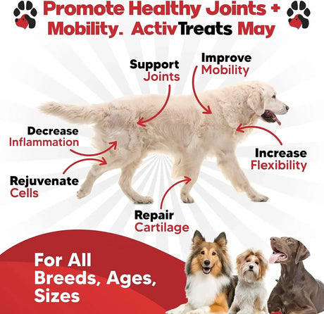PLANOPAWS - Planopaws ActivTreats Hip and Joint Supplement Chicken 120 Masticables - The Red Vitamin MX - Cuidado De Cadera Y Articulaciones Para Perros - {{ shop.shopifyCountryName }}