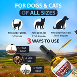 ELEMENTAL ELITE - Elemental Elite Urinary Tract Health Treatment for Dogs & Cats 1 Fl.Oz. - The Red Vitamin MX - Salud De Tracto Urinario Para Perros - {{ shop.shopifyCountryName }}