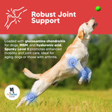 Equerry's Spunky Level II Hip and Joint Supplement for Dogs 453Gr.