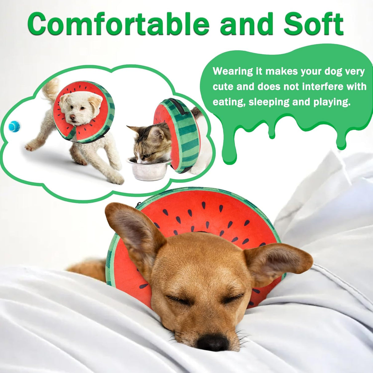 Cneo Recovery Donut Collar WATERMELON MEDIUM