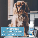 CANINE ITCH CARE - Canine Itch Care Hot Spot Spray & Itch Relief For Dogs and Cats 4 Fl.Oz. - The Red Vitamin MX - Remedios Para La Picazón De Perros - {{ shop.shopifyCountryName }}