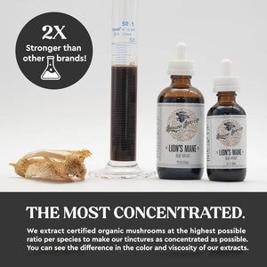HODGINS HARVEST - Hodgins Harvest Organic Lion's Mane Tincture 2 Fl.Oz. - The Red Vitamin MX - Suplementos Alimenticios - {{ shop.shopifyCountryName }}
