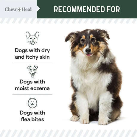 CHEW + HEAL - Chew + Heal Labs Hydrocortisone Lotion for Dogs 4 Fl.Oz. - The Red Vitamin MX - Remedios Para La Picazón De Perros - {{ shop.shopifyCountryName }}