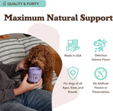 NATURAL DOG - Natural Dog Company Aller-Immune Chews 90 Masticables - The Red Vitamin MX - Remedios Para La Picazón De Perros - {{ shop.shopifyCountryName }}
