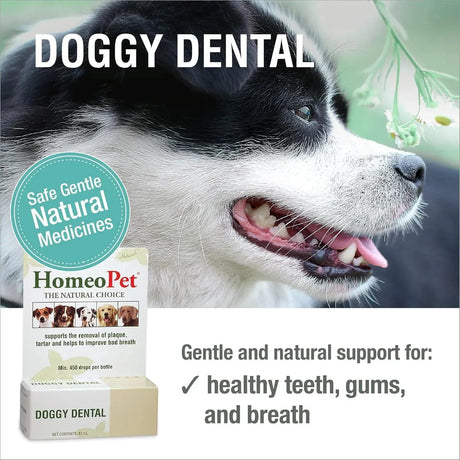 HOMEOPET - HomeoPet Doggy Dental Care 15Ml. - The Red Vitamin MX - Cuidado Dental Para Perros - {{ shop.shopifyCountryName }}