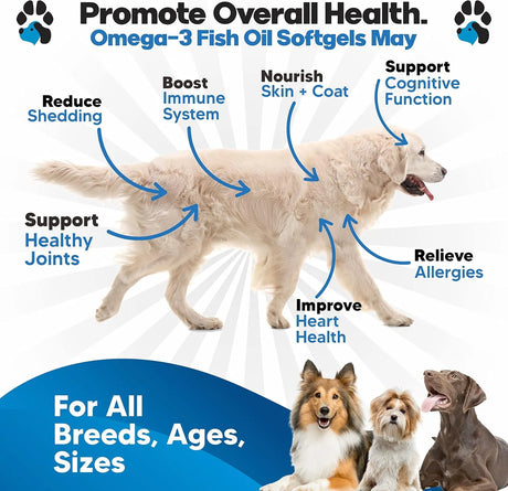 PLANOPAWS - Planopaws Omega 3 Fish Oil for Dogs 180 Capsulas Blandas - The Red Vitamin MX - Aceite De Pescado Para Perros - {{ shop.shopifyCountryName }}