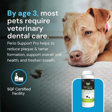 VETRISCIENCE - VetriScience Perio Support Pro Dental Health Powder for Dogs & Cats 453Gr. - The Red Vitamin MX - Cuidado Dental Para Perros - {{ shop.shopifyCountryName }}
