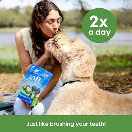 ARK NATURALS - Ark Naturals Soft Brushless Toothpaste for Large Breeds 508Gr. - The Red Vitamin MX - Cuidado Dental Para Perros - {{ shop.shopifyCountryName }}