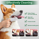 LANBEIDE - LANBEIDE Pet Teeth Cleaning Wipes for Dogs & Cats 60 Toallitas - The Red Vitamin MX - Cuidado Dental Para Perros - {{ shop.shopifyCountryName }}