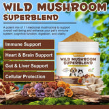 OIMMAL - Oimmal Mushroom Powder for Dogs & Cats 120Gr. - The Red Vitamin MX - Suplementos Herbales Para Perros - {{ shop.shopifyCountryName }}