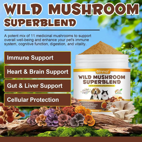 OIMMAL - Oimmal Mushroom Powder for Dogs & Cats 120Gr. - The Red Vitamin MX - Suplementos Herbales Para Perros - {{ shop.shopifyCountryName }}
