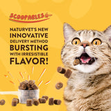 NaturVet Scoopables Cat Digestive Support 157Gr.