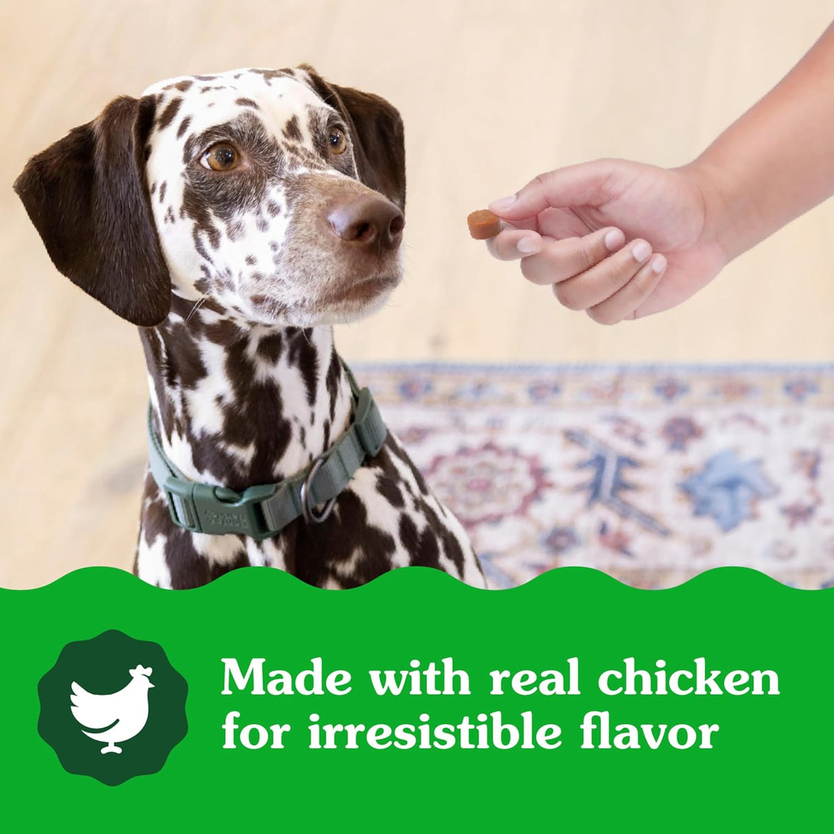 Greenies Supplements Hip and Joint Supplements for Dogs Chicken Flavor 30 Masticables